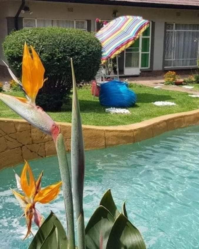 Alberton Guest House ภายนอก รูปภาพ